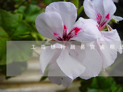 工商银行融易贷逾期还款电话 工商银行融易贷逾期还款电话