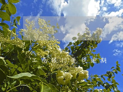 工商银行说我逾期 工商银行说我逾期