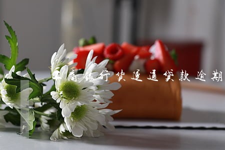 工商银行货运通贷款逾期 工商银行货运通贷款逾期