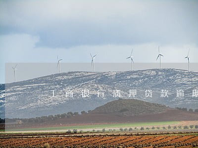 工商银行质押贷款逾期一月 工商银行质押贷款逾期一月