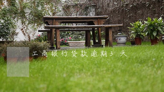工商银行贷款逾期3天 工商银行贷款逾期3天