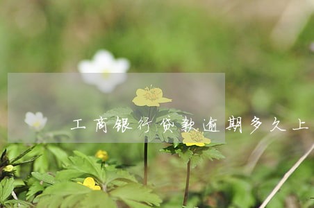 工商银行贷款逾期多久上门