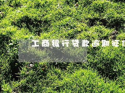 工商银行贷款逾期征信 工商银行贷款逾期征信