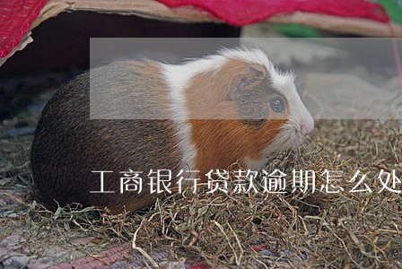 工商银行贷款逾期怎么处理 工商银行贷款逾期怎么处理