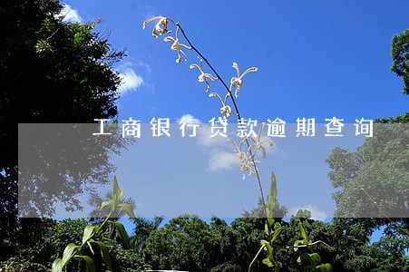 工商银行贷款逾期查询 工商银行贷款逾期查询