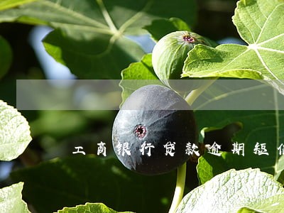 工商银行贷款逾期短信通知格式 工商银行贷款逾期短信通知格式