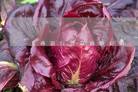 工商银行贷款逾期说明 工商银行贷款逾期说明