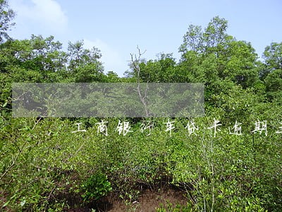 工商银行车贷卡逾期三天 工商银行车贷卡逾期三天