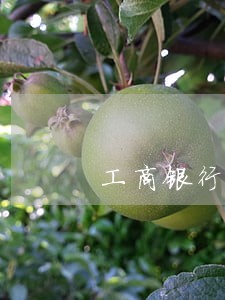 工商银行车贷卡逾期两天 工商银行车贷卡逾期两天