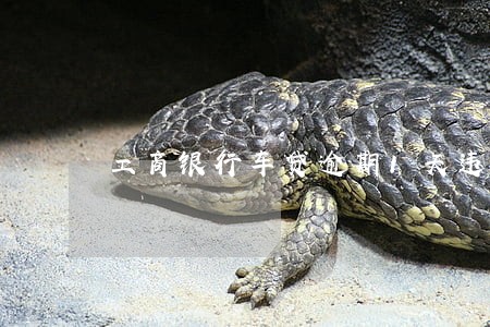 工商银行车贷逾期1天违约金