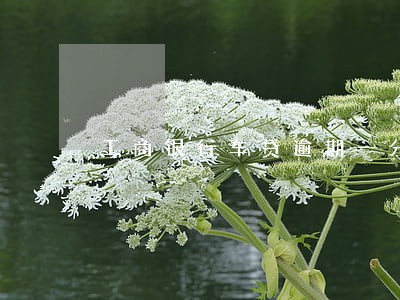 工商银行车贷逾期一分钟会怎样 工商银行车贷逾期一分钟会怎样