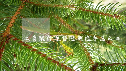 工商银行车贷逾期拖车怎么办 工商银行车贷逾期拖车怎么办