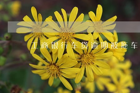 工商银行车贷逾期被拖车 工商银行车贷逾期被拖车