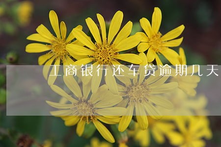 工商银行还车贷逾期几天不行 工商银行还车贷逾期几天不行