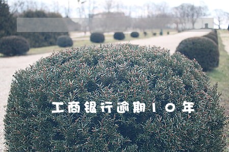 工商银行逾期10年 工商银行逾期10年