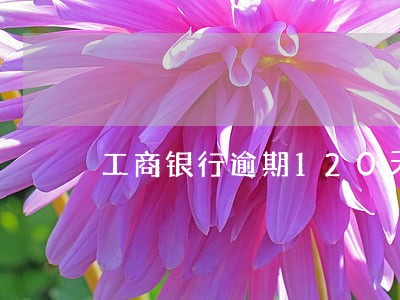 工商银行逾期120天要还多少 工商银行逾期120天要还多少