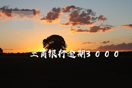 工商银行逾期3000 工商银行逾期3000