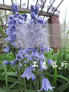 工商银行逾期5000 工商银行逾期5000