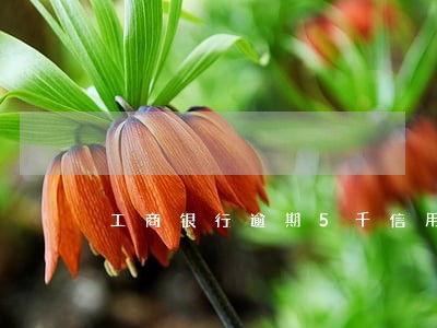 工商银行逾期5千信用卡