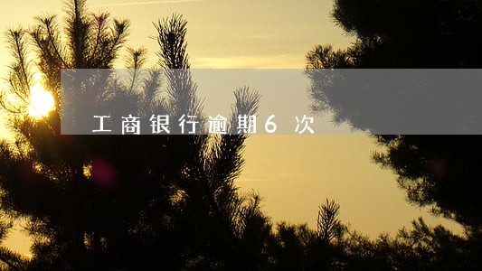 工商银行逾期6次 工商银行逾期6次