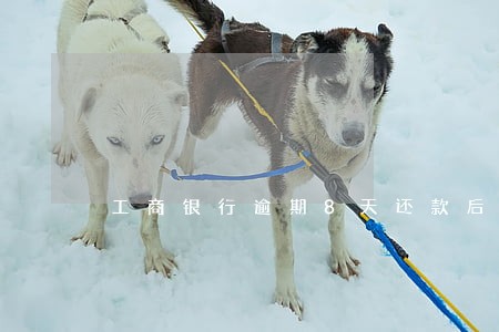 工商银行逾期8天还款后果 工商银行逾期8天还款后果