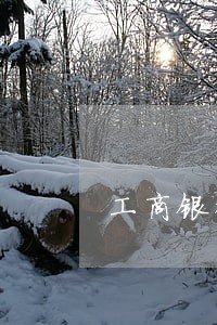 工商银行逾期90天的贷款 工商银行逾期90天的贷款