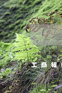 工商银行逾期一天封卡怎么办