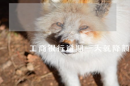 工商银行逾期一天就降额 工商银行逾期一天就降额