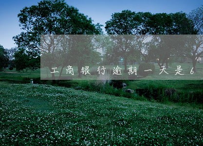 工商银行逾期一天是62 工商银行逾期一天是62