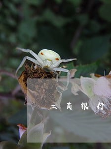 工商银行逾期一天违约金50元 工商银行逾期一天违约金50元