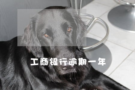 工商银行逾期一年 工商银行逾期一年