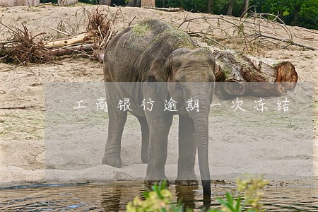 工商银行逾期一次冻结 工商银行逾期一次冻结