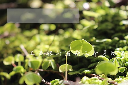 工商银行逾期三个月协商 工商银行逾期三个月协商