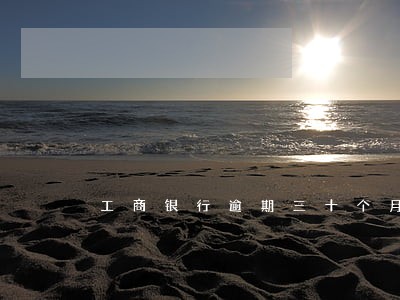 工商银行逾期三十个月 工商银行逾期三十个月