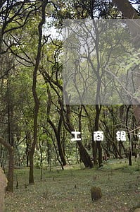 工商银行逾期了怎么不提醒
