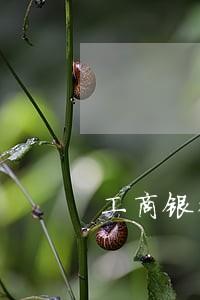 工商银行逾期了还可以办储蓄卡吗 工商银行逾期了还可以办储蓄卡吗