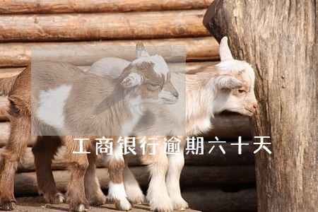 工商银行逾期六十天 工商银行逾期六十天