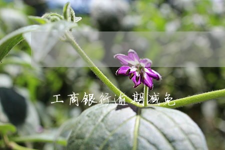 工商银行逾期减免 工商银行逾期减免