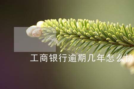 工商银行逾期几年怎么协商 工商银行逾期几年怎么协商