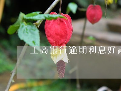 工商银行逾期利息好高 工商银行逾期利息好高
