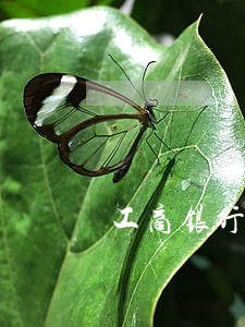 工商银行逾期半年会限制高消费吗 工商银行逾期半年会限制高消费吗