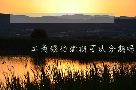 工商银行逾期可以分期吗 工商银行逾期可以分期吗