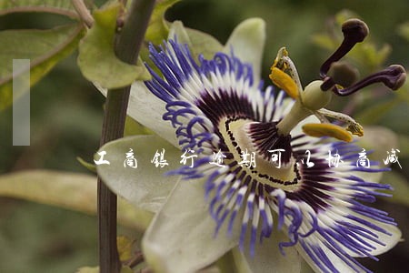 工商银行逾期可以协商减免吗 工商银行逾期可以协商减免吗
