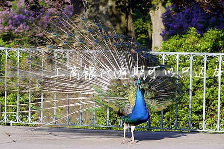 工商银行逾期可以只还本金吗 工商银行逾期可以只还本金吗