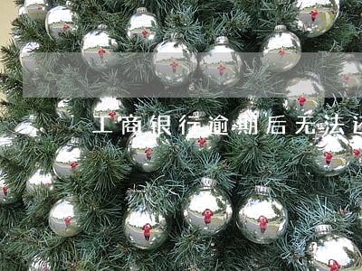 工商银行逾期后无法还款 工商银行逾期后无法还款