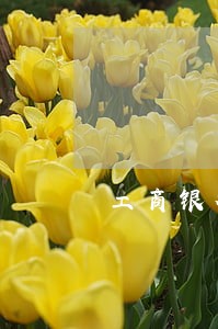 工商银行逾期后要一次性结清吗 工商银行逾期后要一次性结清吗