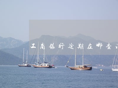 工商银行逾期在哪查询 工商银行逾期在哪查询