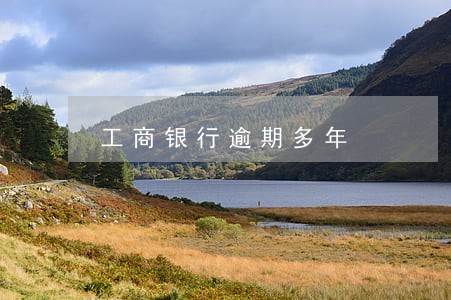 工商银行逾期多年