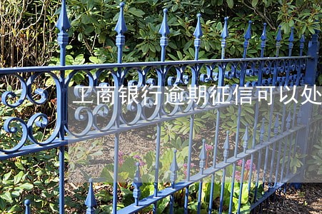 工商银行逾期征信可以处理吗上海 工商银行逾期征信可以处理吗上海