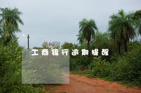 工商银行逾期提醒 工商银行逾期提醒